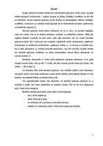 Referāts 'Valsts Darba Inspekcija', 3.