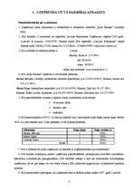 Biznesa plāns 'Kinoteātra biznesa plāns', 4.