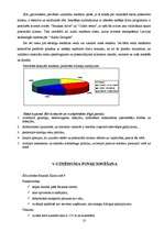 Biznesa plāns 'Kinoteātra biznesa plāns', 10.