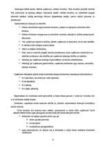 Biznesa plāns 'Kinoteātra biznesa plāns', 12.