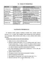 Biznesa plāns 'Kinoteātra biznesa plāns', 13.