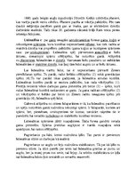 Konspekts 'Kā lido lidmašīna?', 1.