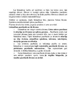 Konspekts 'Kā lido lidmašīna?', 2.