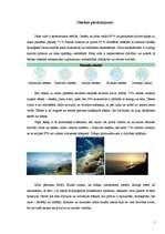 Referāts 'Okeāna piesārņojums', 1.