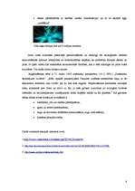 Referāts 'Okeāna piesārņojums', 6.