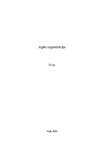 Eseja 'Agile organizācija', 1.