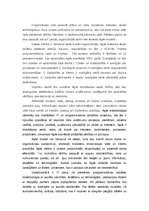 Eseja 'Agile organizācija', 2.