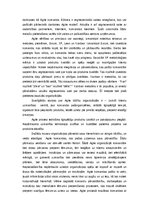 Eseja 'Agile organizācija', 5.