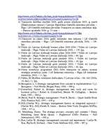 Diplomdarbs 'Uzņēmuma stratēģiskās plānošanas modelēšana. Uzņēmums - VAS "Latvijas dzelzceļš"', 123.