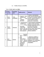 Biznesa plāns 'Transporta uzņēmums', 8.