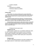 Biznesa plāns 'Transporta uzņēmums', 12.