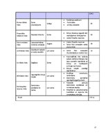 Biznesa plāns 'Transporta uzņēmums', 27.