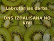 Prezentācija 'DNS izdalīšana no kivi augļiem', 1.