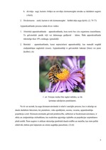 Referāts 'Dzimumvairošanās', 5.