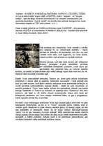 Referāts 'Kā un kad sākās hip - hops', 4.