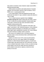 Eseja 'Mana nākotnes profesija - ekonomists', 2.