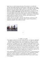 Referāts 'Referāts sportā', 8.