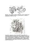 Konspekts 'Hidrosistēma', 2.