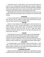 Eseja 'Tiesības kā sabiedriskā parādība', 3.