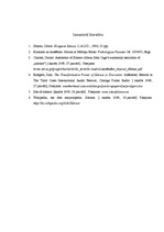 Eseja 'Klusuma diskurss', 5.