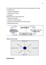 Referāts 'Mācīšanās stili', 8.