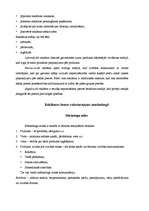 Konspekts 'Reklāma un tās loma ekonomikā', 3.