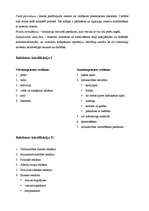 Konspekts 'Reklāma un tās loma ekonomikā', 4.