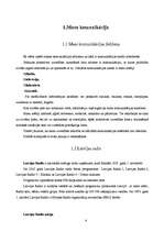 Referāts 'Masu komunikācija', 4.