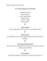 Referāts 'Latvijas tiesību sistēmas raksturojums', 9.