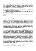 Prakses atskaite 'Upe un tās baseina morfoloģijas, morfometrijas un noteces rādītāju noteikšana', 8.