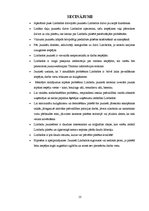 Referāts 'Jauniešu attieksme un domas par dzīvi Limbažos. Problēmas un risinājumi', 13.