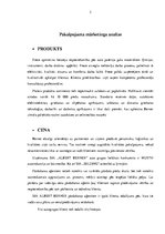 Referāts 'Uzņēmuma raksturojums', 2.