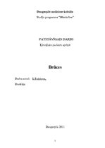 Konspekts 'Brūces', 1.