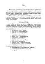 Konspekts 'Brūces', 2.
