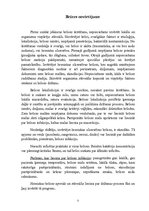 Konspekts 'Brūces', 5.