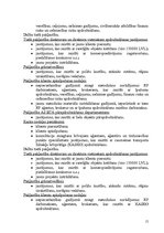 Referāts 'AS "Baltijas transporta apdrošināšana"', 15.