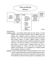 Prakses atskaite 'Probācija', 12.