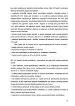 Referāts 'SIA "X" finanšu rādītāju un finanšu stāvokļa novērtējums', 24.