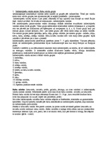 Konspekts 'Latviešu valodas teorija', 1.