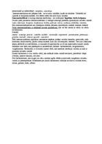 Konspekts 'Latviešu valodas teorija', 17.