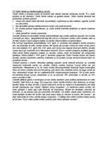 Konspekts 'Latviešu valodas teorija', 34.