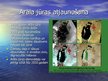 Prezentācija 'Dabas aizsardzība: Arāla jūra', 6.