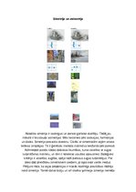 Konspekts 'Simetrija un asimetrija', 3.