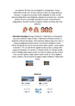 Konspekts 'Simetrija un asimetrija', 4.