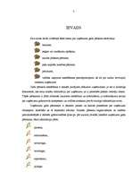 Referāts 'Uzņēmuma gada pārskats', 3.