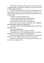 Referāts 'Uzņēmuma gada pārskats', 4.