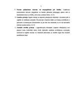 Referāts 'Uzņēmuma gada pārskats', 8.