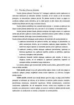 Referāts 'Uzņēmuma gada pārskats', 12.