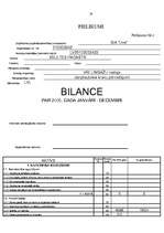 Referāts 'Uzņēmuma gada pārskats', 20.