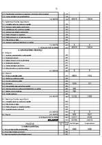 Referāts 'Uzņēmuma gada pārskats', 21.